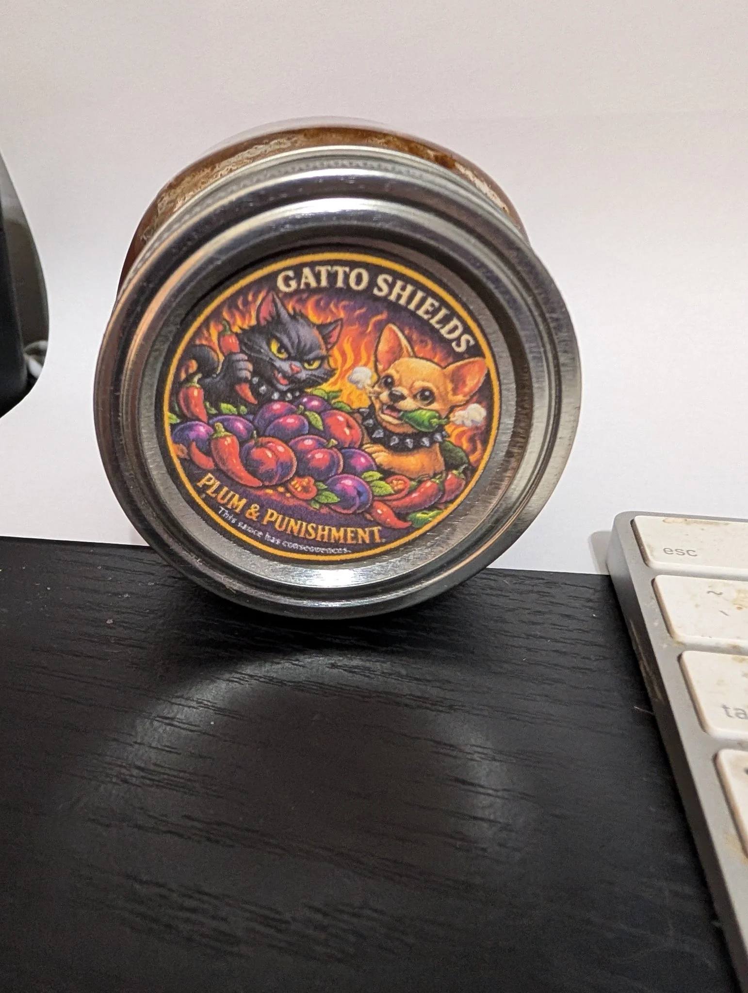 Gatto Shields  - Image 3