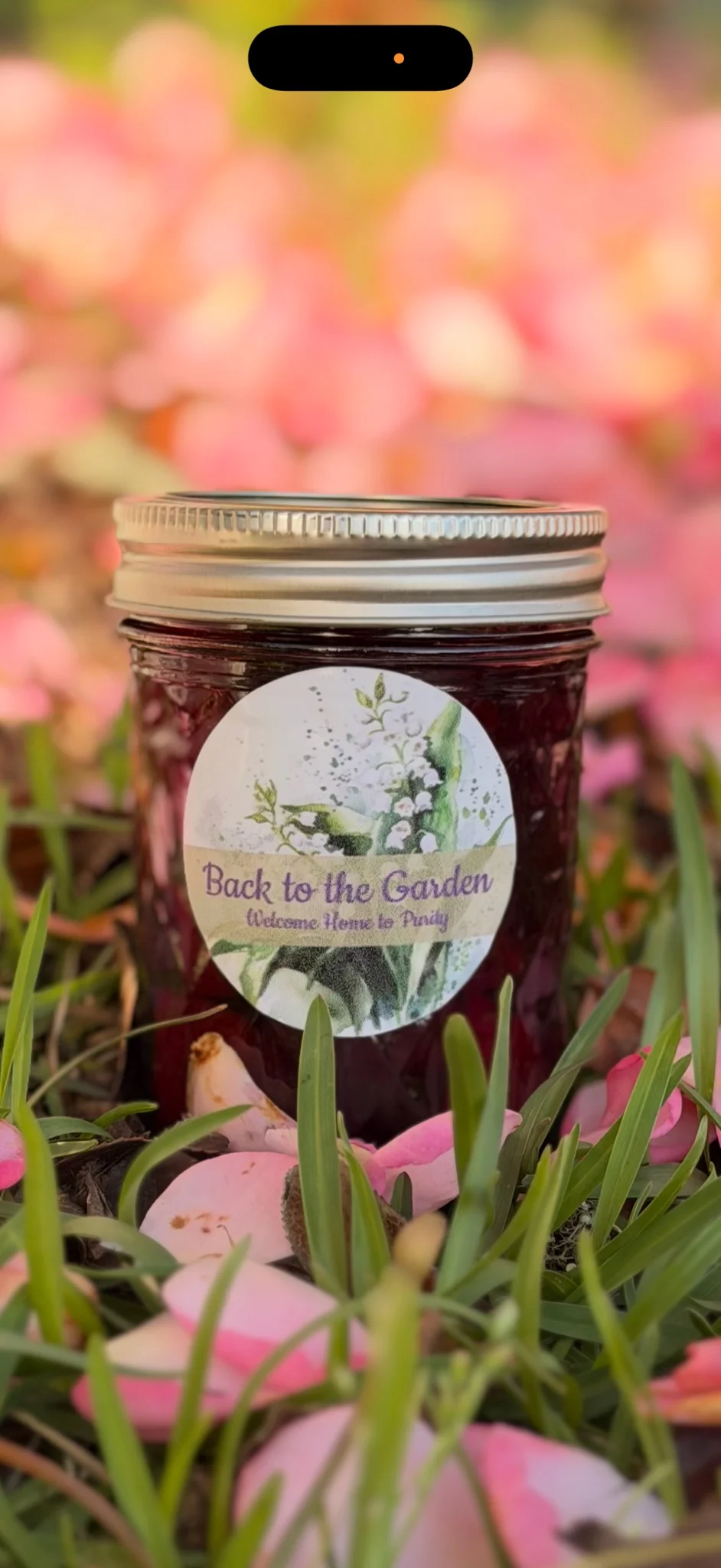 Back to the Garden - Image 4