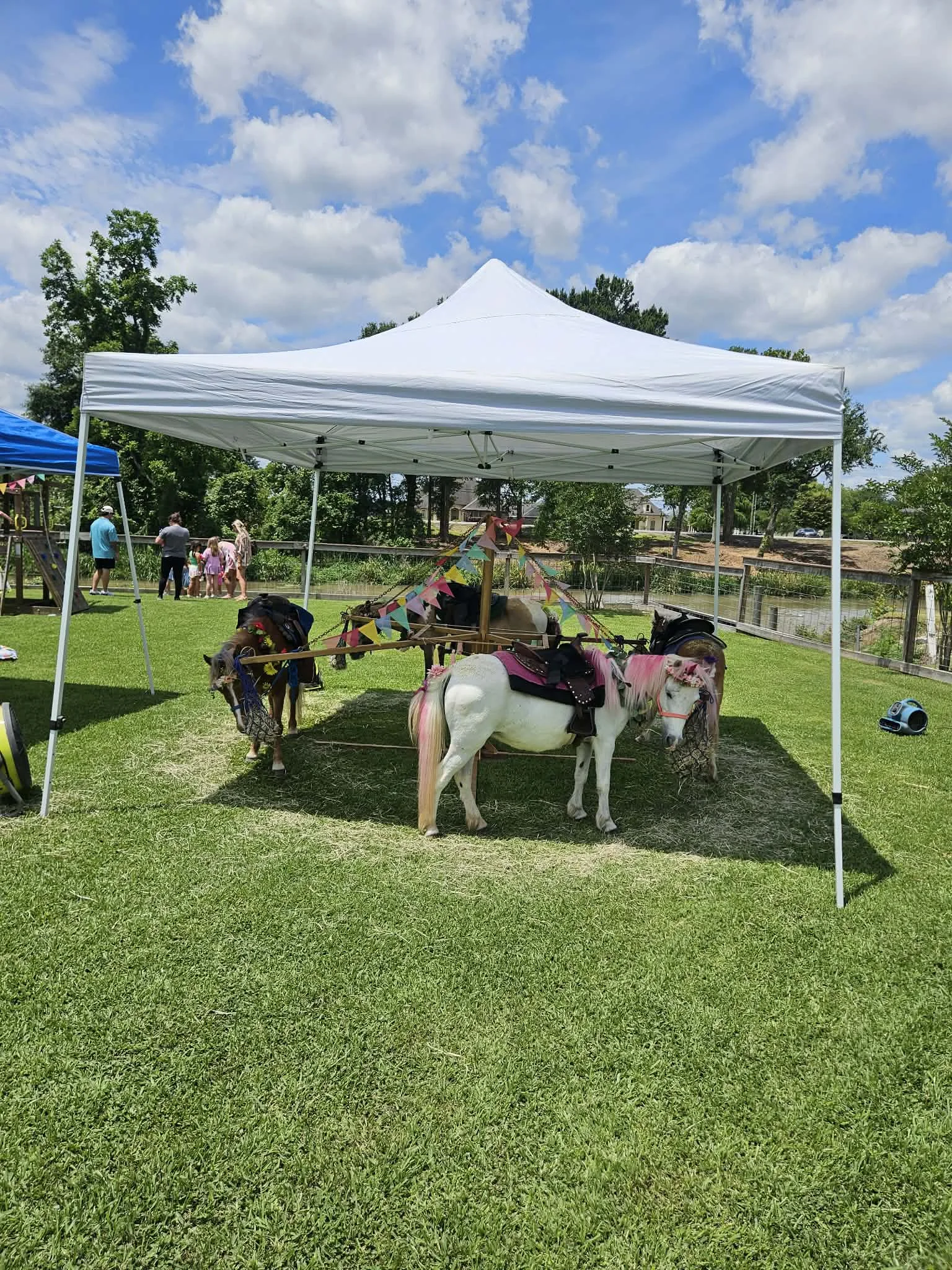 Cajun Cuties Mobile Petting Zoo and Pony Rides  - Image 5