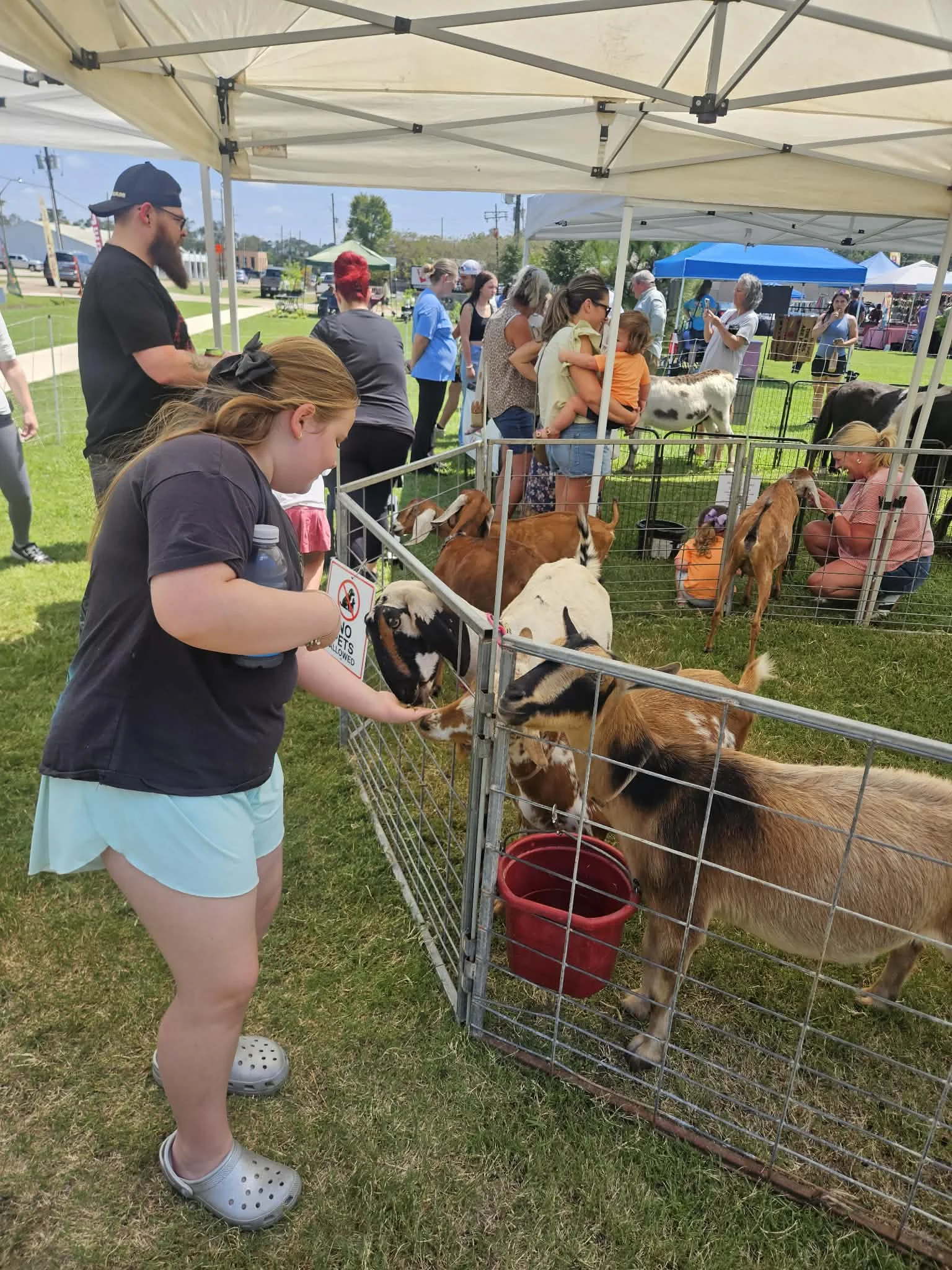 Cajun Cuties Mobile Petting Zoo and Pony Rides  - Image 8