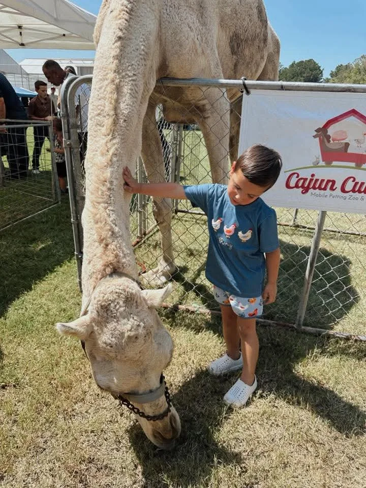 Cajun Cuties Mobile Petting Zoo and Pony Rides  - Image 3