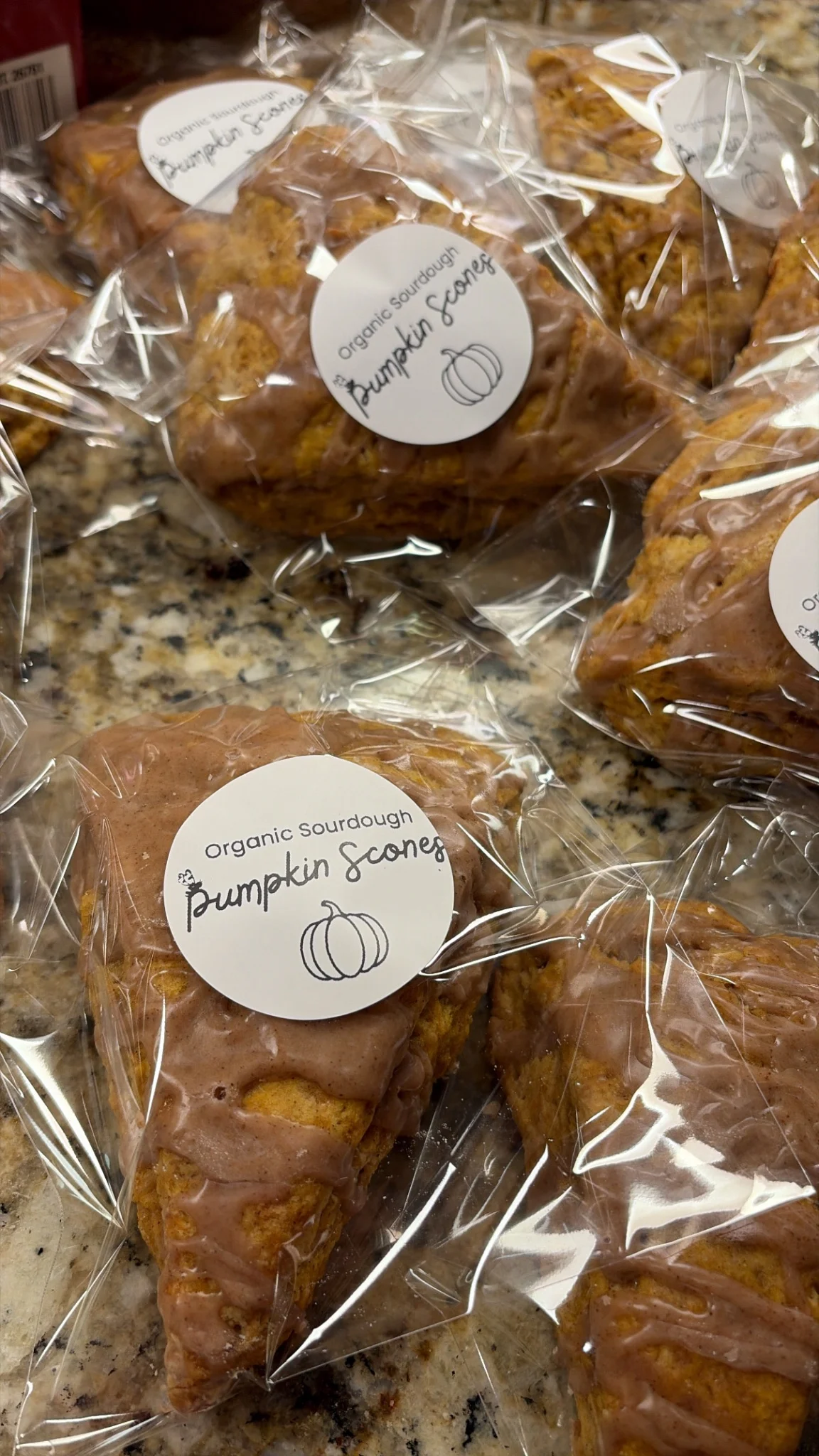 The Cozy Bee Bakery - Image 6