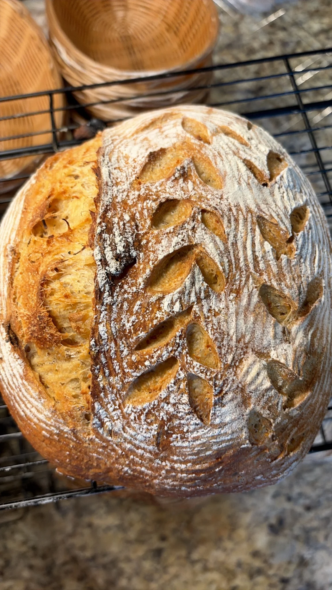 The Cozy Bee Bakery - Image 2