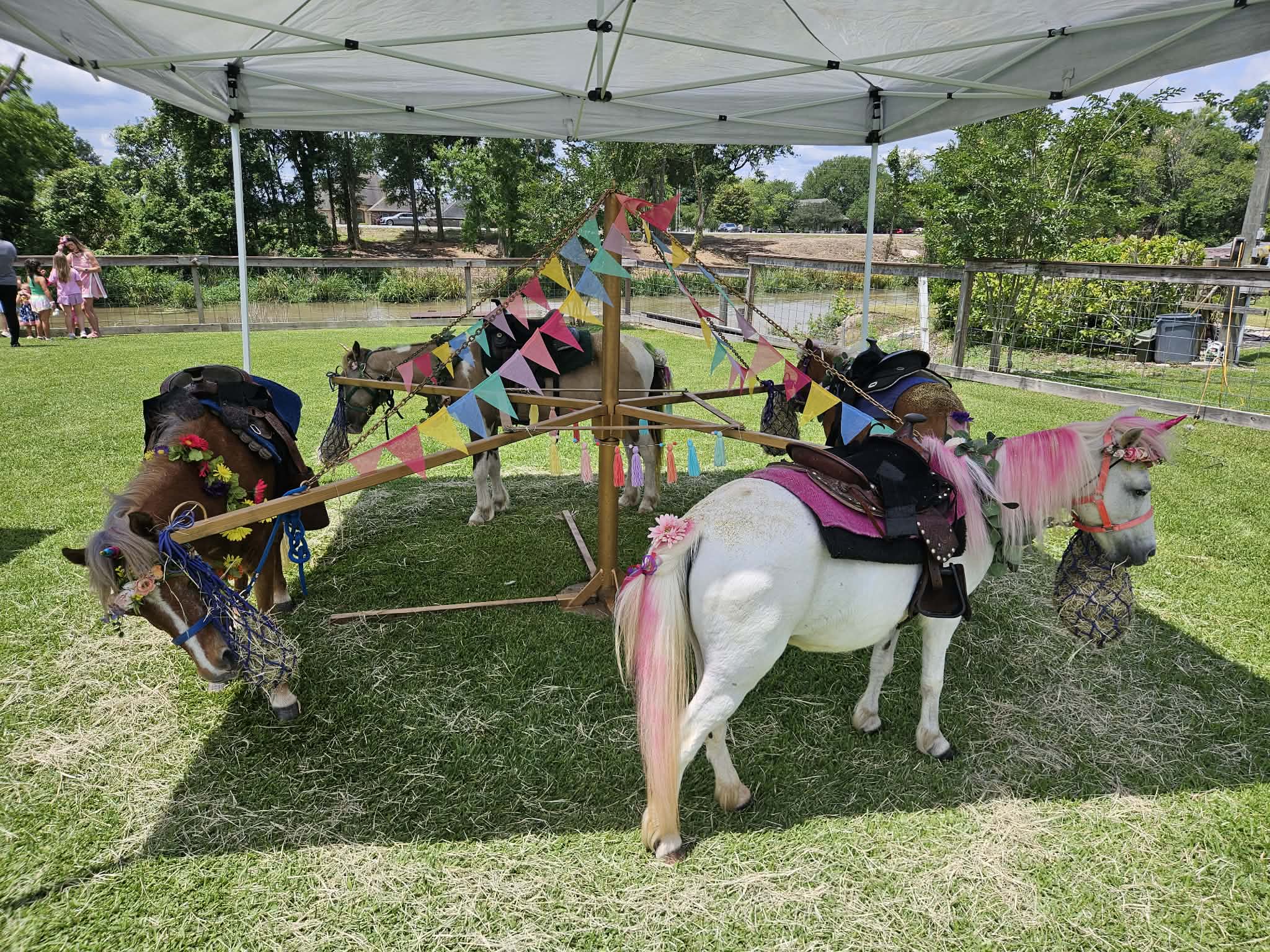 Cajun Cuties Mobile Petting Zoo and Pony Rides 
